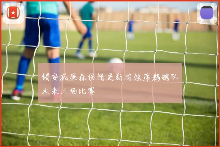 锡安威廉森伤情更新将缺席鹈鹕队未来三场比赛