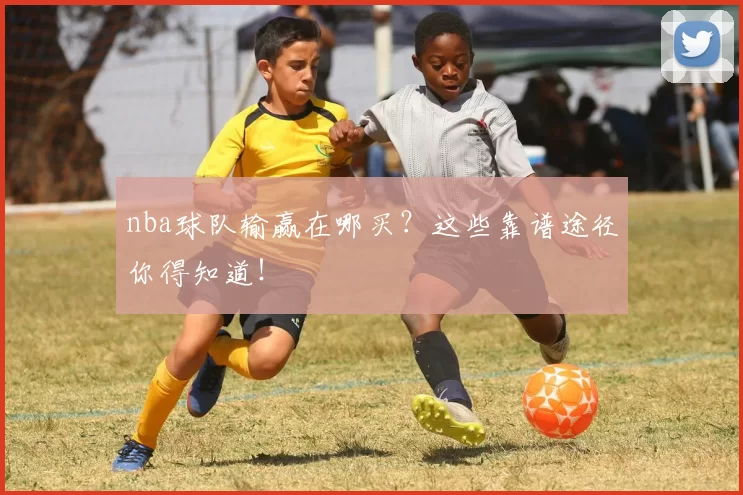 nba球队输赢在哪买？这些靠谱途径你得知道！