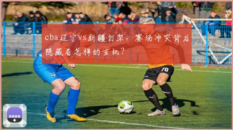 cba辽宁vs新疆打架，赛场冲突背后隐藏着怎样的玄机？