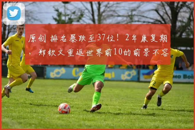 原创 排名暴跌至37位！2年康复期，郑钦文重返世界前10的前景不容乐观