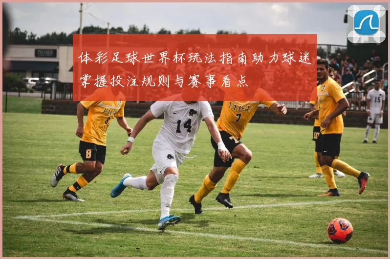 体彩足球世界杯玩法指南助力球迷掌握投注规则与赛事看点